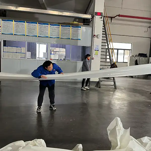 Raw Base Paper Checking